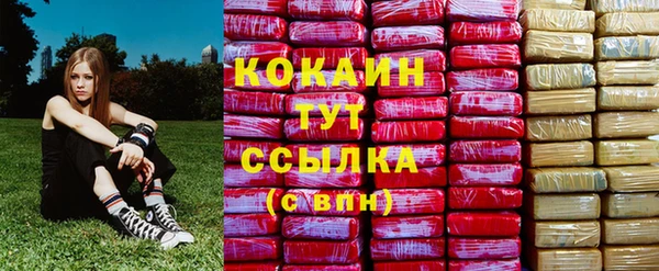 spice Алексин