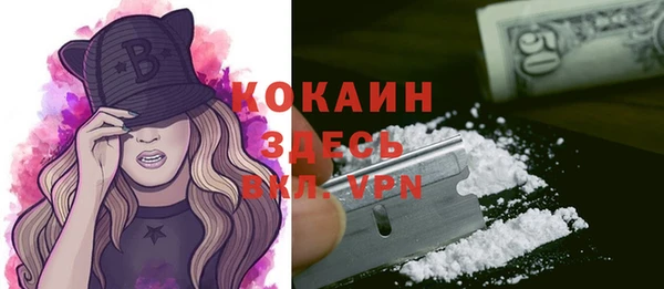 spice Алексин