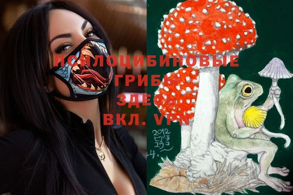 гашик Алексеевка