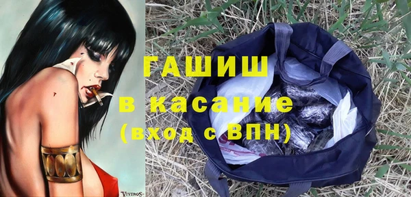 гашик Алексеевка